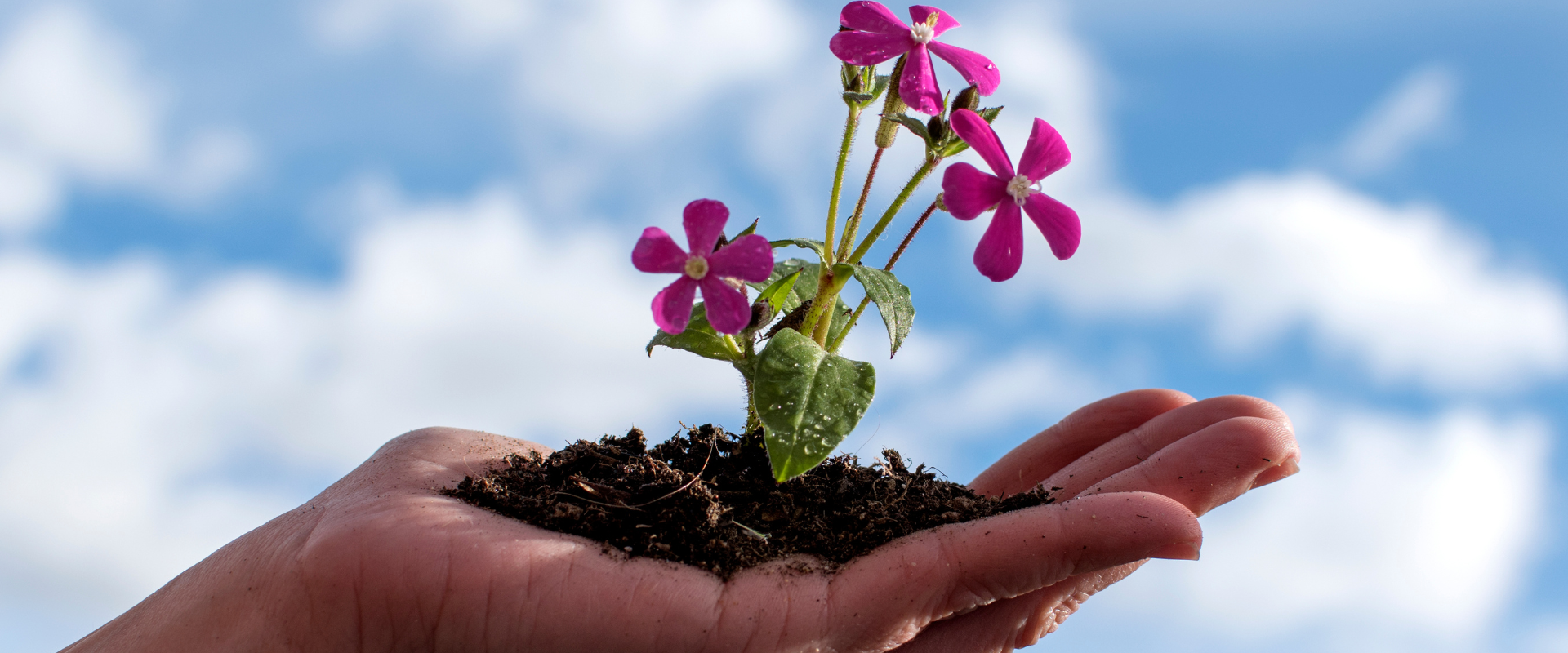Personal Development